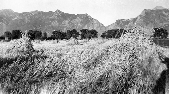 George Highland Farm