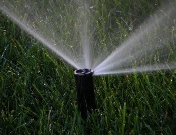 Sprinkler head shooting out water
