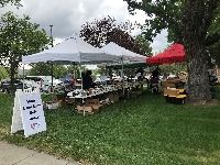Used book sale set up outside