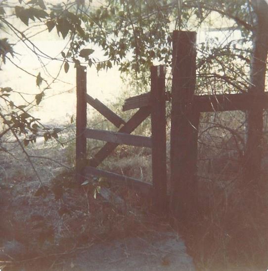 46 Grandpa George Millers Gate 1981