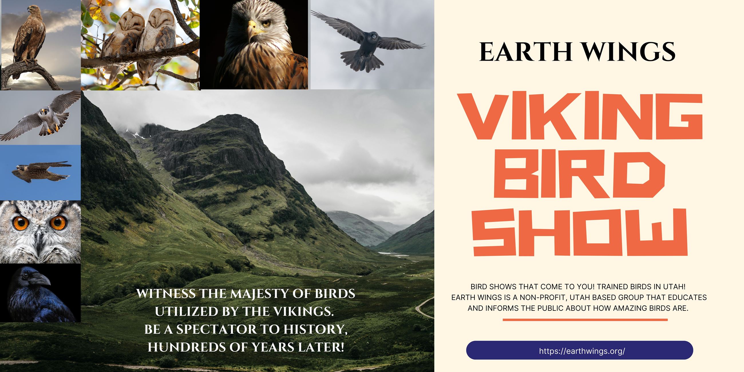 Blue Illustrative Bird Show Promotion Landscape Banner
